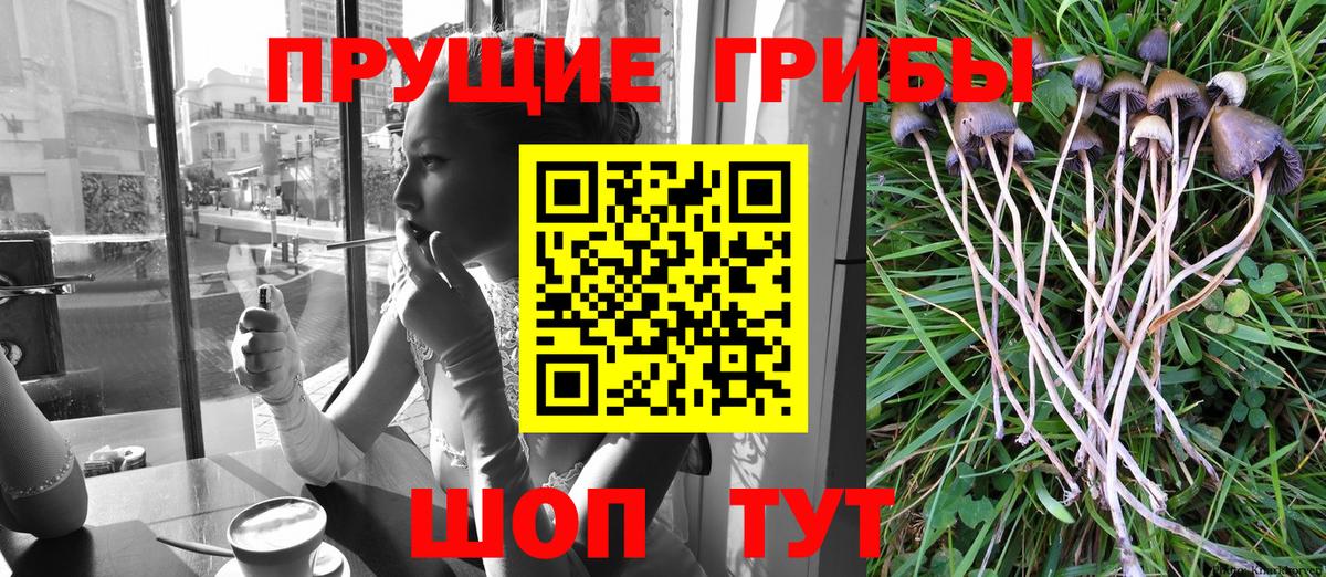 Галлюциногенные грибы мицелий  Вход с VPN  Добрянка 