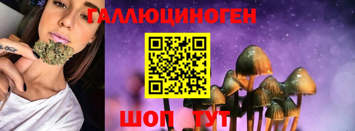 Псилоцибиновые грибы MAGIC MUSHROOMS Добрянка